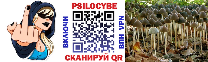 Галлюциногенные грибы MAGIC MUSHROOMS  Бокситогорск 